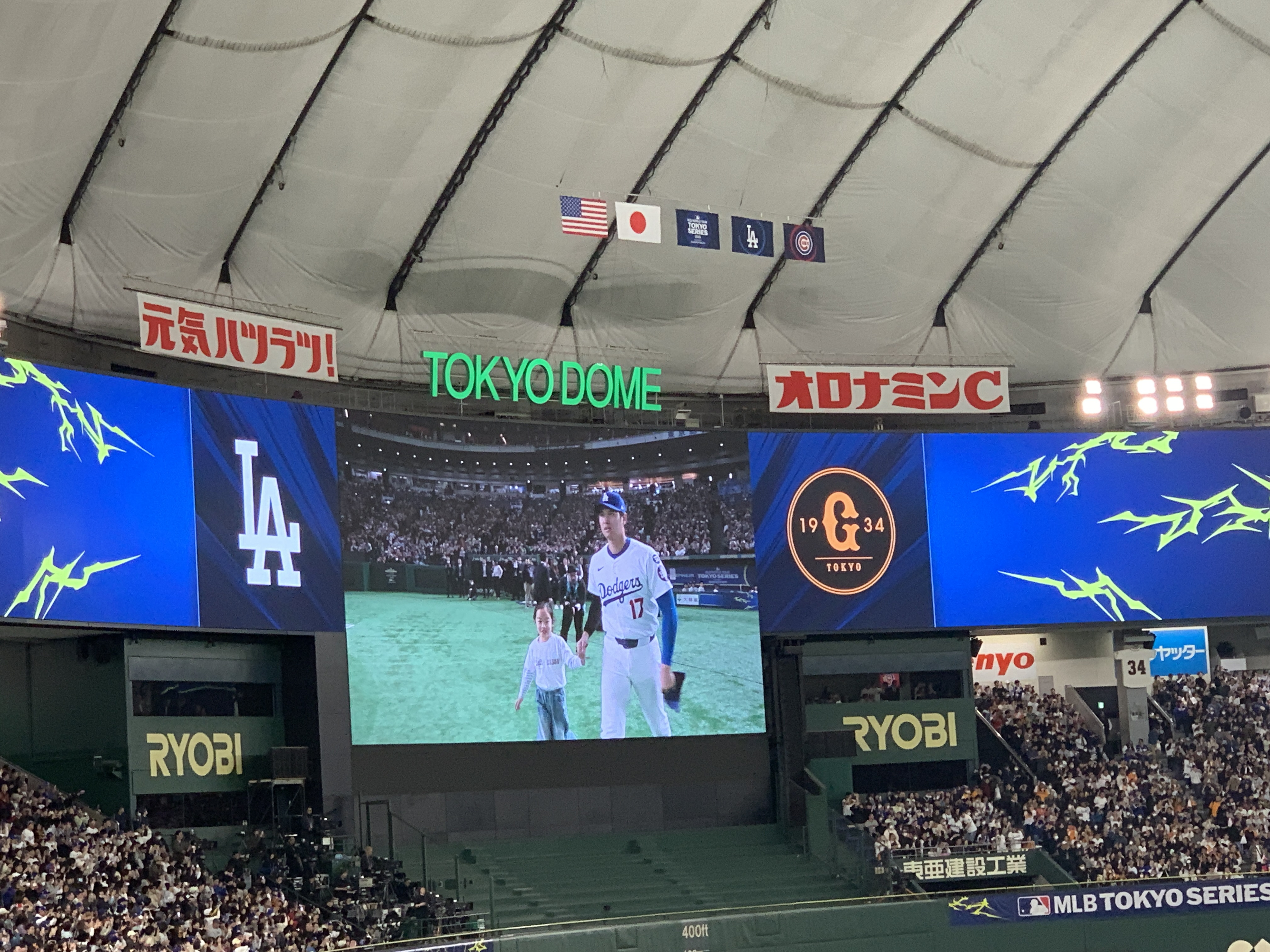 大谷選手のホームランを生観戦！オフライン全社定例会レポート！