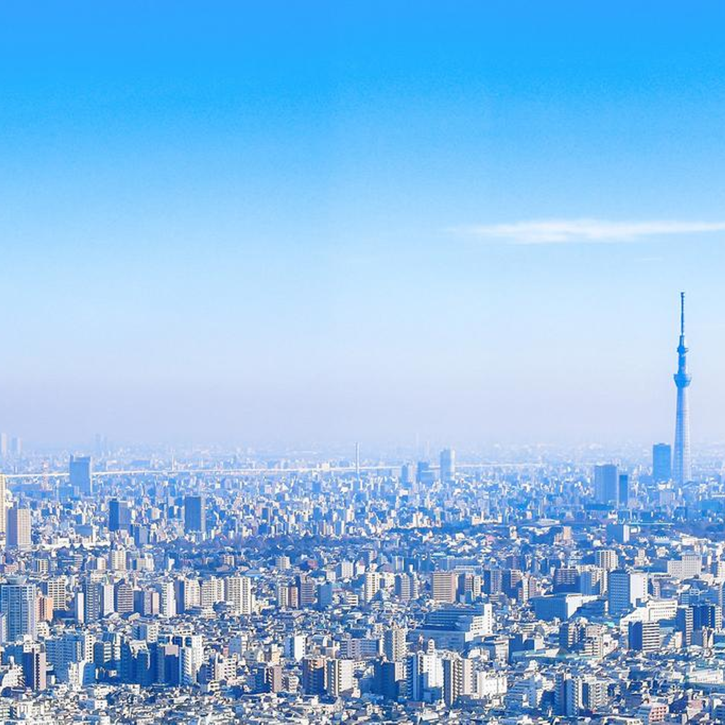 株式会社日本教育クリエイト IT人材サービス事業部の会社情報 - Wantedly