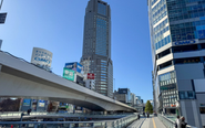 オフィスは渋谷にあるのでおしゃれランチも楽しめます🍴