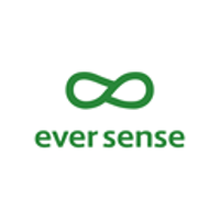 株式会社エバーセンスの会社情報