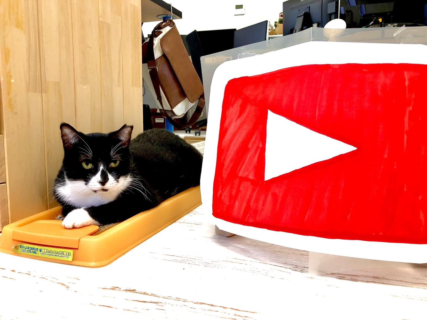 [Youtube更新]会社説明の動画を投稿しました！