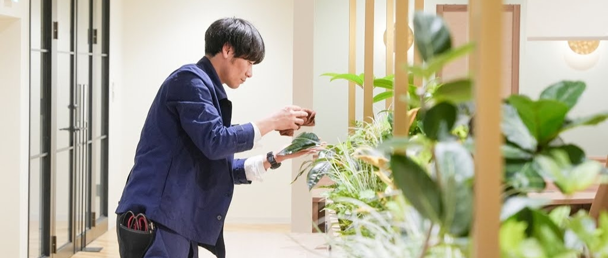 GREEN DESIGNでオフィスを彩る、新しい仲間を募集