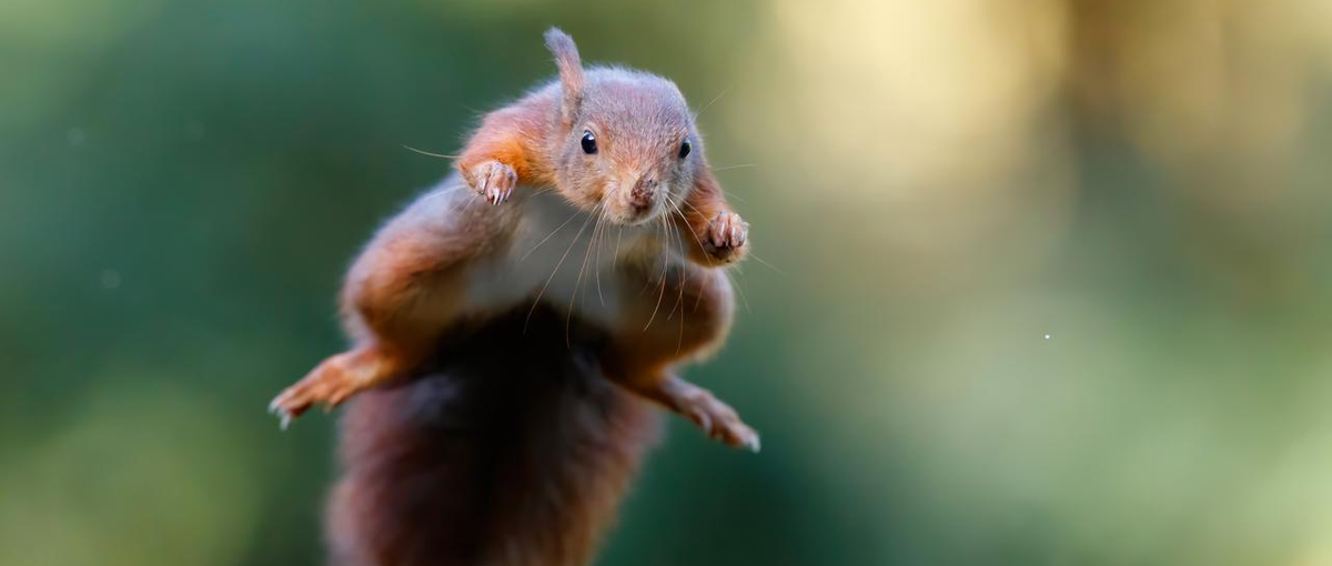 大学生｜０からスタート歓迎！憧れのデザイン業界に飛び込んでみませんか？