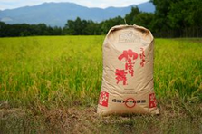 美味しいお米を食卓に届けたい！経験ゼロから農家ビジネスに挑戦したい方募集！
