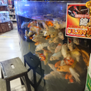 小林 達哉
