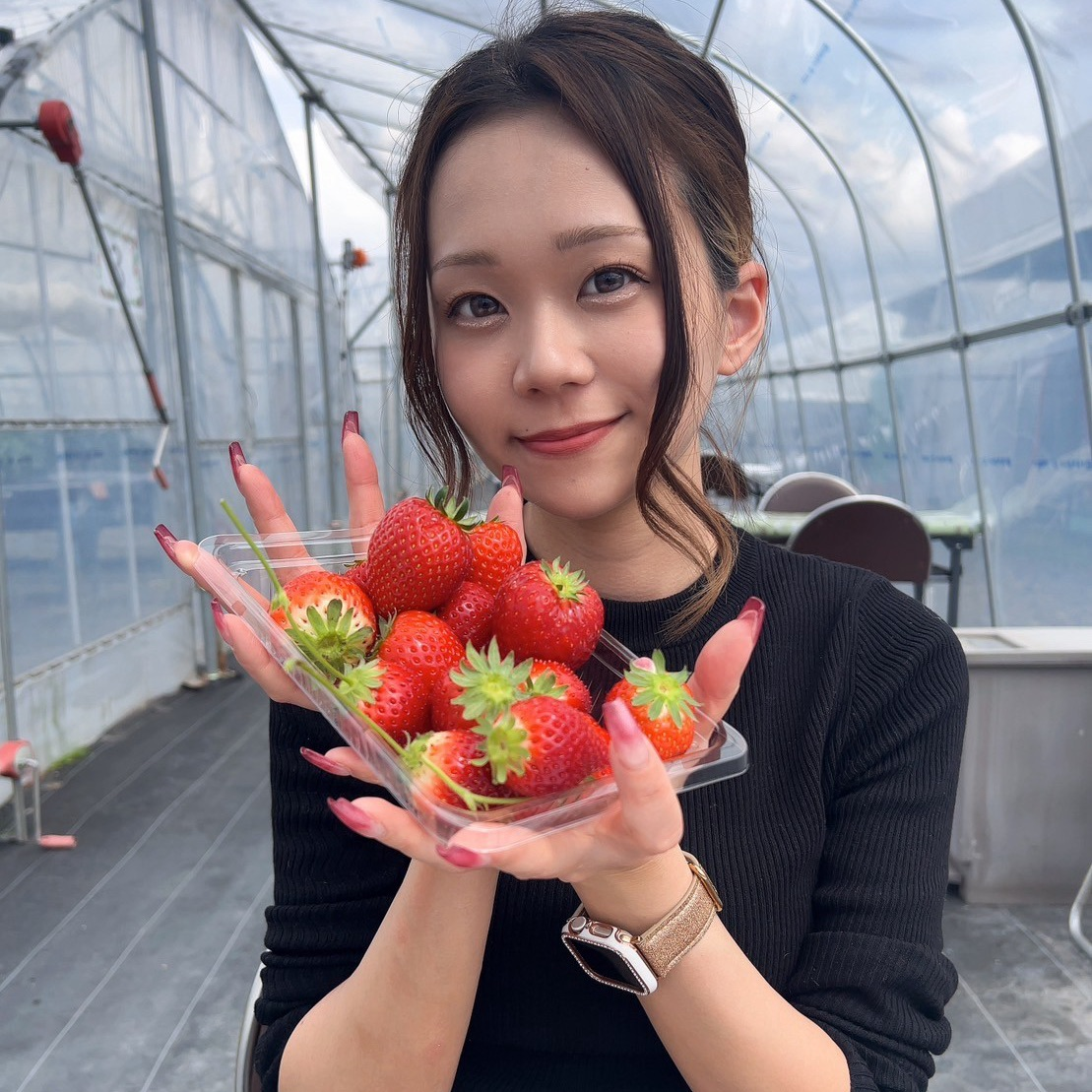 伊豆 春香