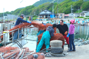 提供する東北の農家&漁師さんを訪れる