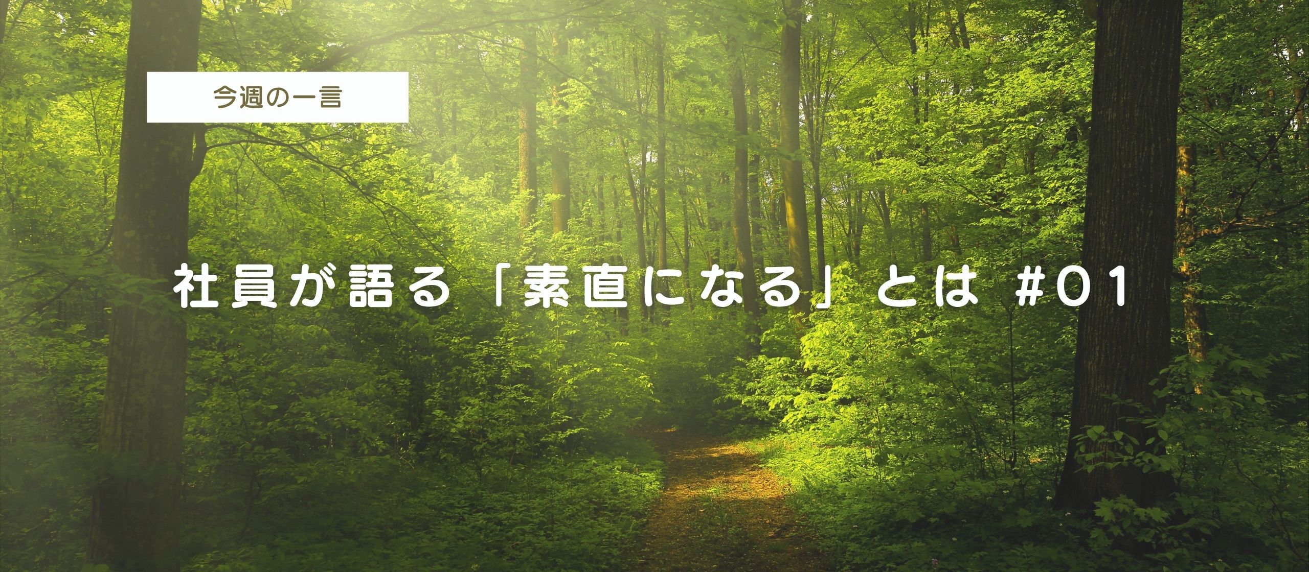 GOOYAグループの行動指針（クレド）｜社員が語る「素直になる」とは