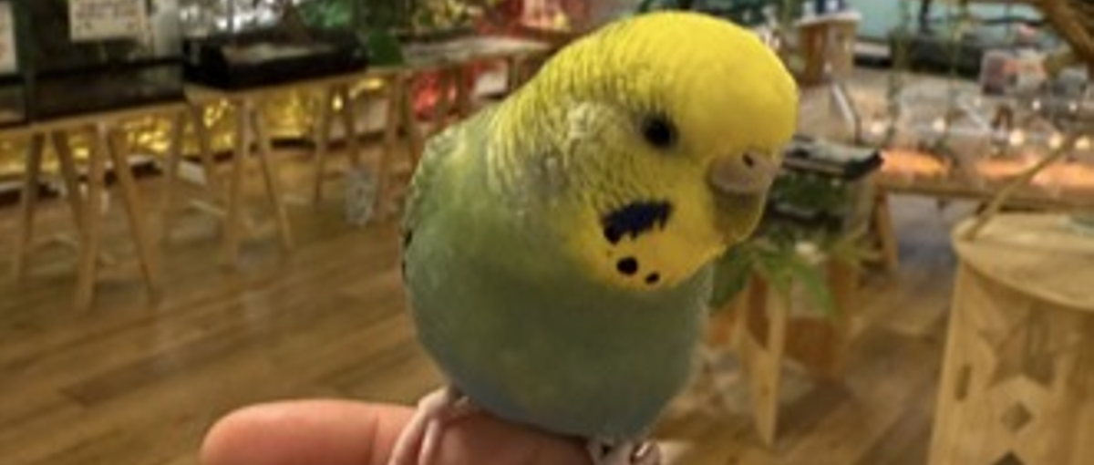 出来なかった事が出来るようになる喜び！私達と一緒に成長して行きませんか？