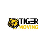 Tiger  Moving