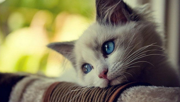 転職のエージェントが「転職する側」になって気づいたこと