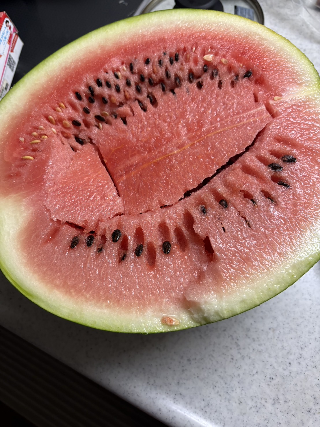 夏だーーー！🎐🍉🪼🦭🪸