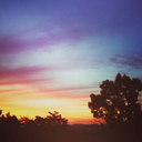 たまみ なかやま