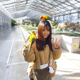 大又 真陽