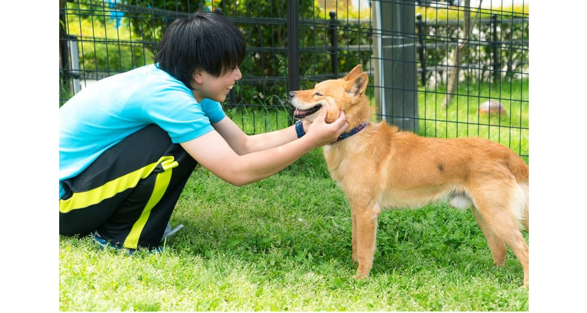 広島の犬「殺処分ゼロ」1000日達成