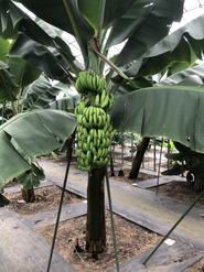 最先端の技術を世の中に広げていきましょう。