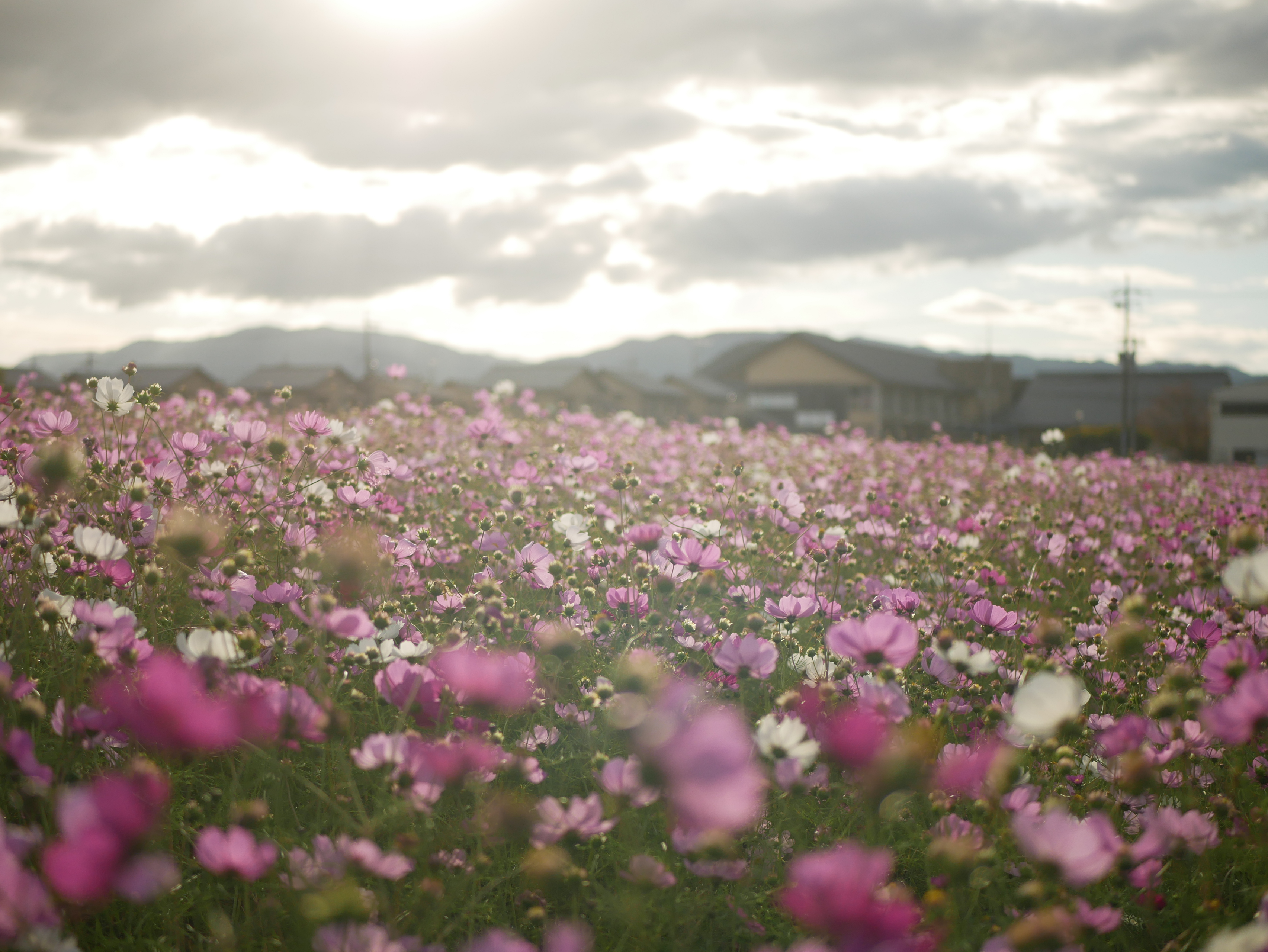 どう働くかは自分次第！