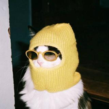 S. K
