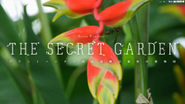 『THE SECRET GARDEN』人の心に植物を植える、ウェブでの美しい表現にこだわった、インタクティブ植物図鑑。プラントハンター西畠清順さんの植物園です。　http://plant-hunter.net/jp/