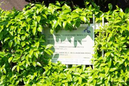 学園町には「学園町憲章」という住民憲章があり、小鳥や動植物を大事にしてきました