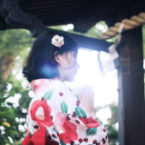Jiayi Cheng