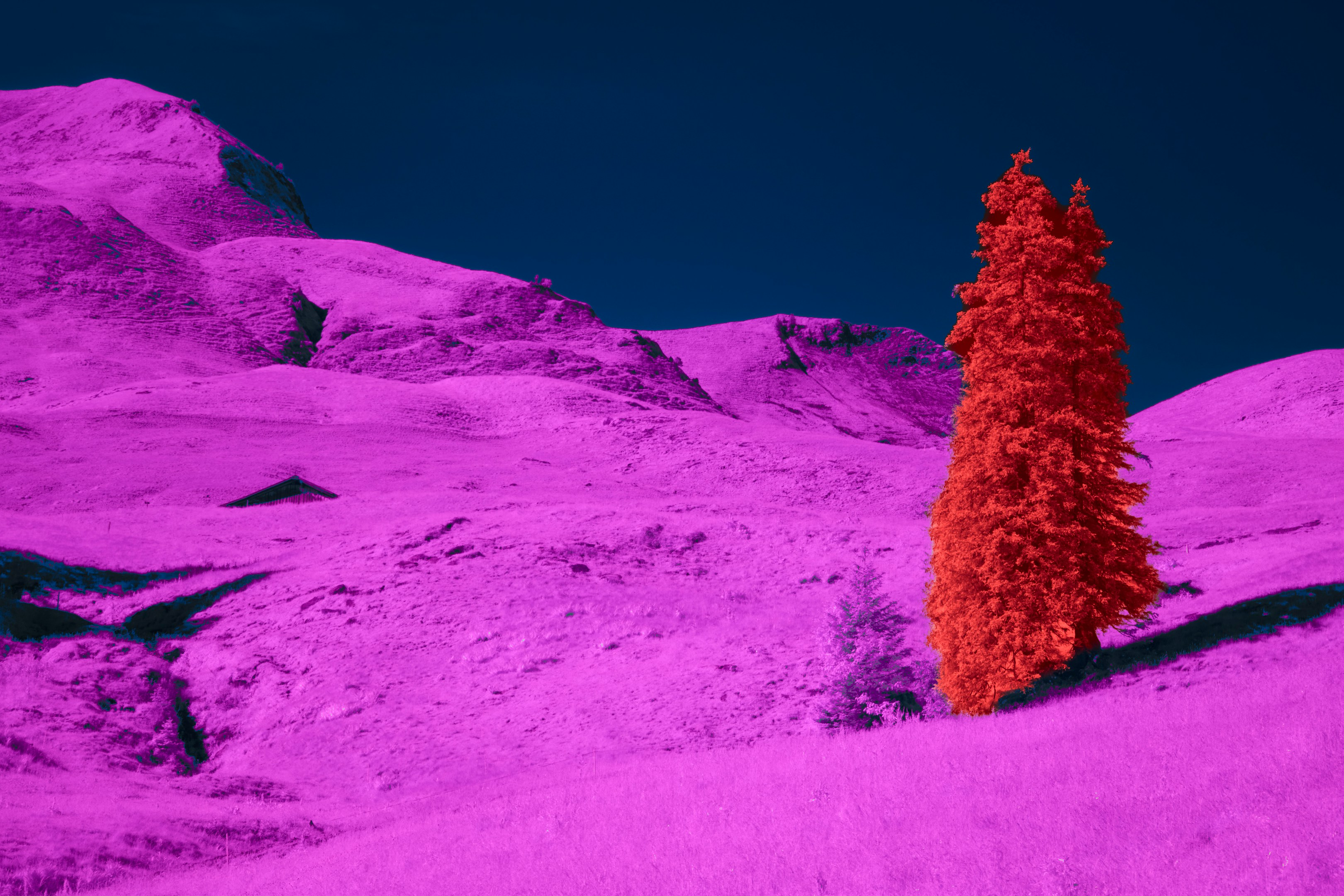 【川口勇氣】「ユーザーのために作る」を忘れない。エンジニアリングの先にある価値