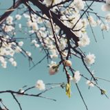 歩未 杉森