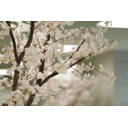 新卒社員インタビューBlog