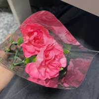 O Mさんのプロフィール