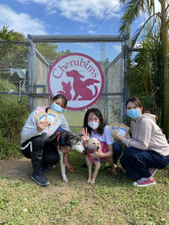 保護犬活動応援隊！！ドクターグッドをプレゼント！