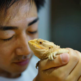 Ryo Ishikawa
