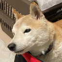 佐々木 萌