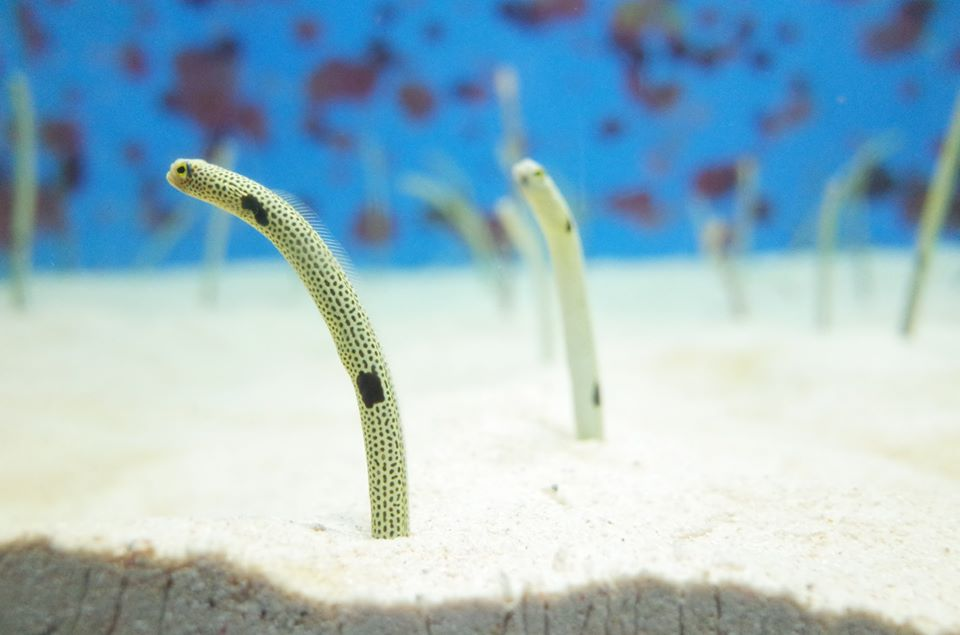 チーム全員の目線をシンクロさせる！オフサイト合宿を実施