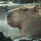 石原 クラウド