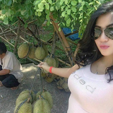 lie vina