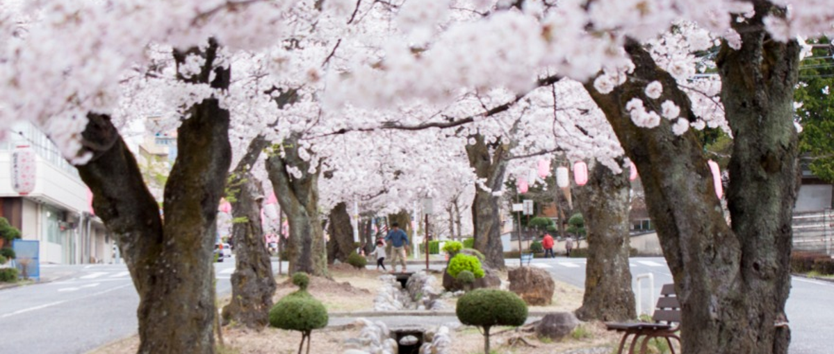 住みたい田舎No.1！飯田市でのびのびと働くチャンス