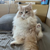 村上 飛雄馬