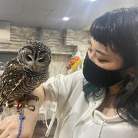 泉 陽子さんのプロフィール