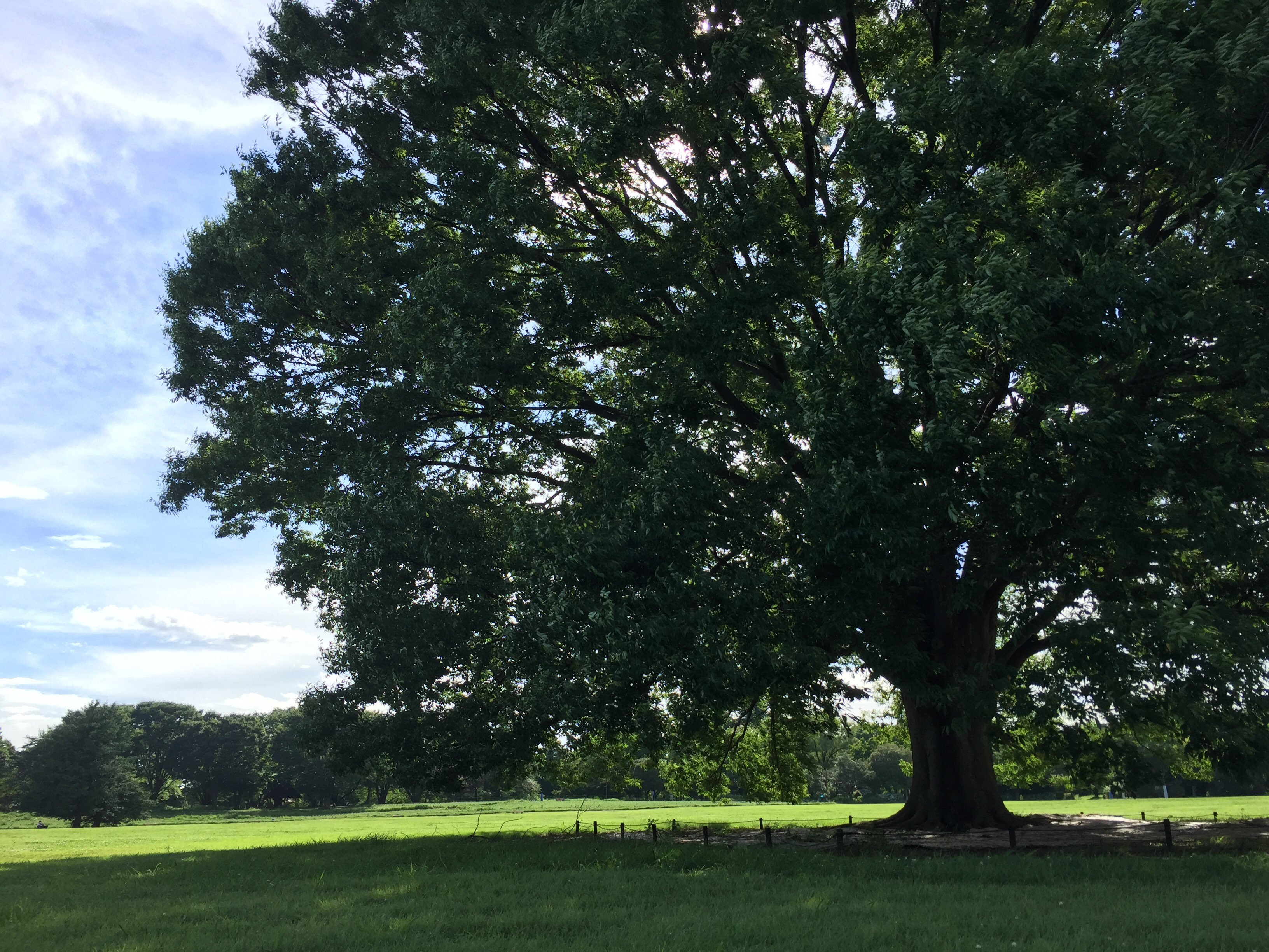 テックタッチなのにヒューマンタッチ？