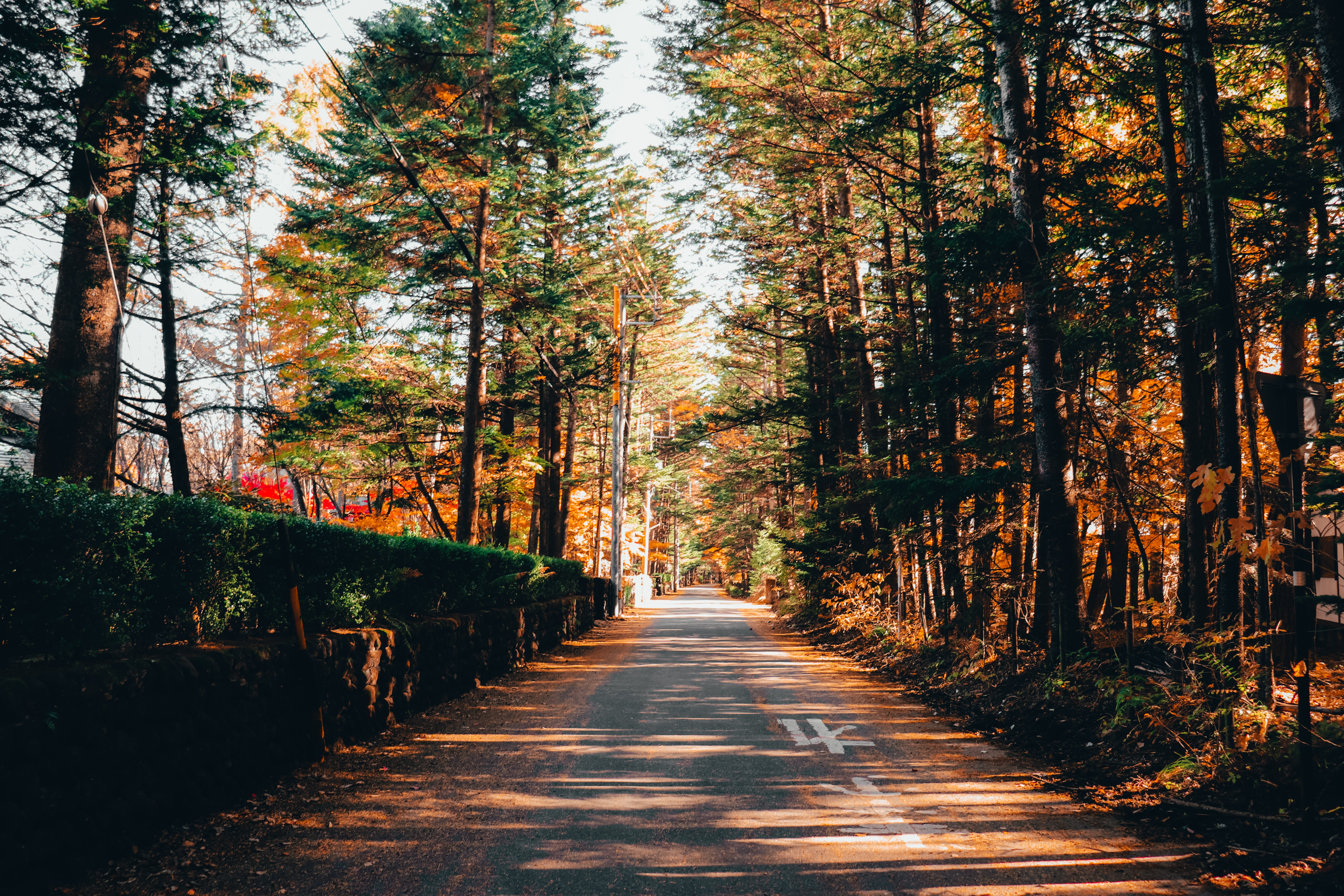 エムシーデジタル初合宿
