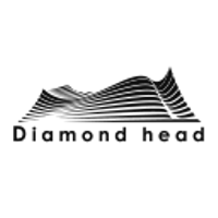 ダイアモンドヘッド株式会社の会社情報
