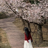 Ngoc Phuong Chi Huynh