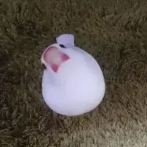 鈴木 俊