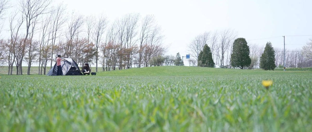 北海道の地域創生｜英語力を活かせる！キャンプメディアのSNSマーケティング