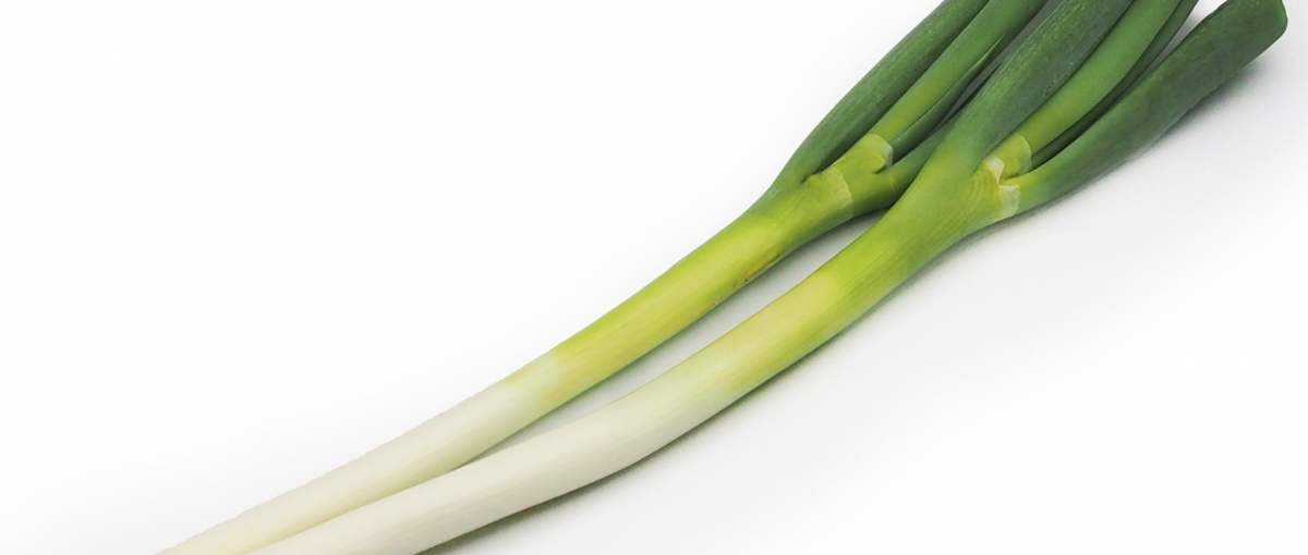 こんな生活から抜けてとにかく頑張りたい人集合！！！！！！