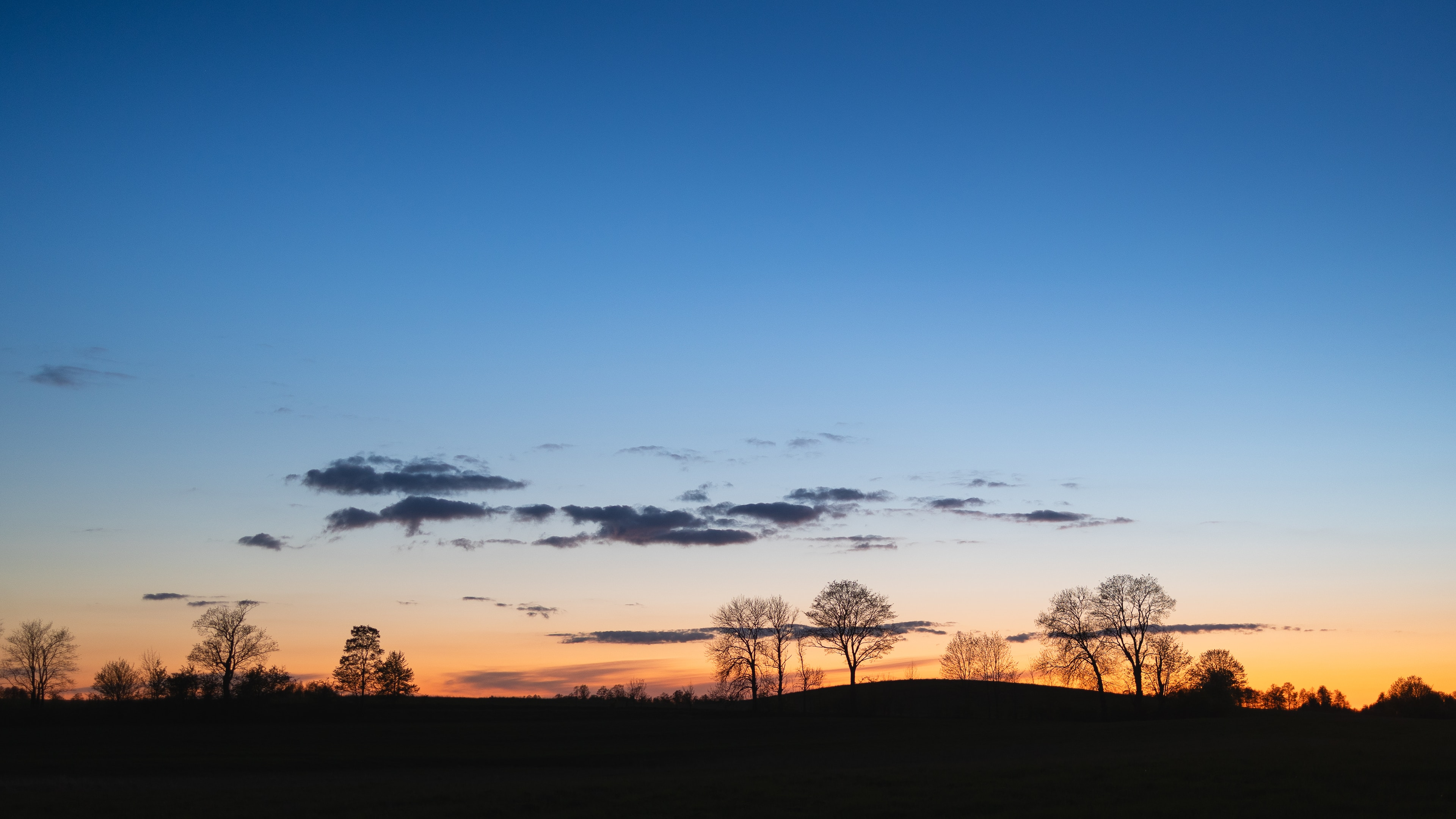「令和6年能登半島地震」被害に対する支援について