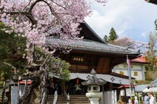 大自然×ハイテク！飯田市でワクワクする毎日を手に入れよう｜製造職募集中
