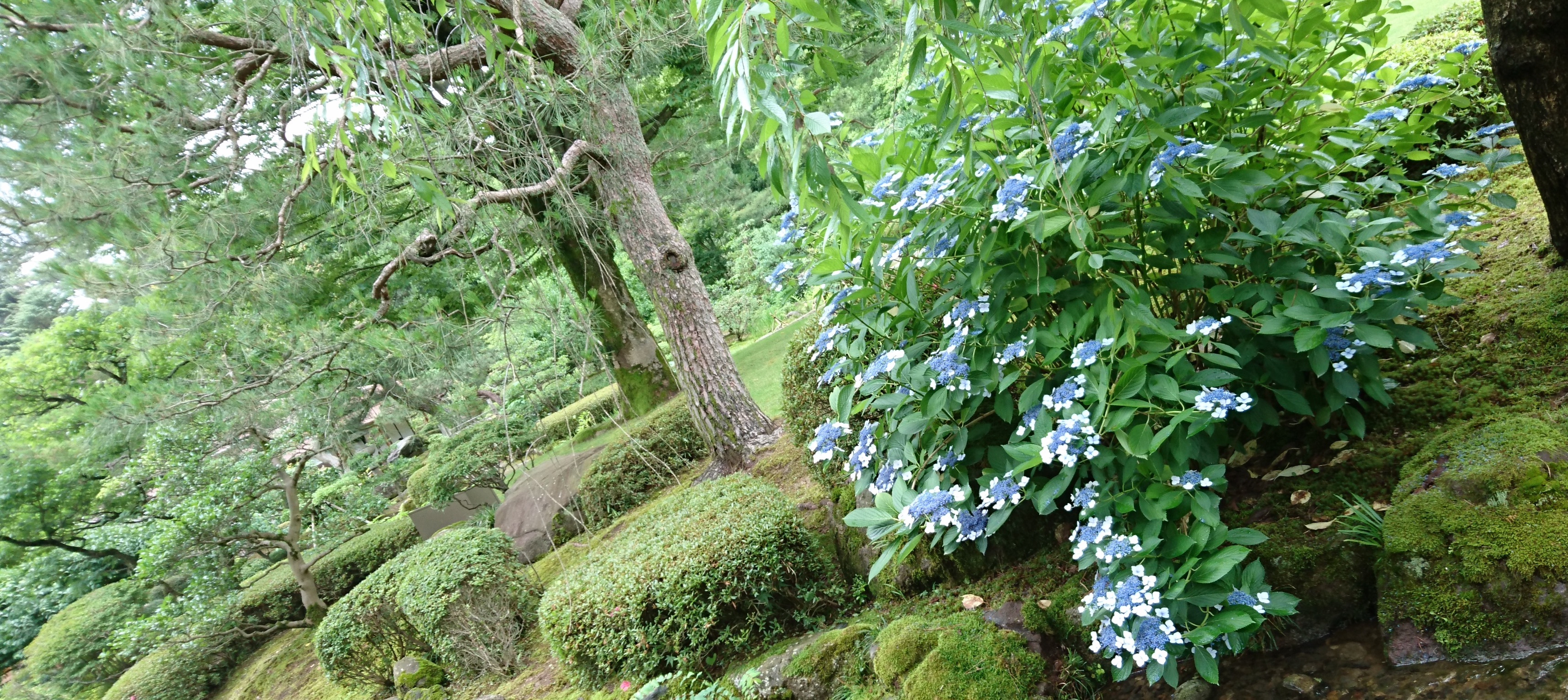 AndroidのWidgetが使いやすくなったらしいです