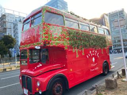 いちご農園ミライバナで展開する出張いちご狩りイベント。佐賀県とタイアップしたロンドンバスでいちご狩りとアフタヌーンティーを楽しめるイベントを協賛！