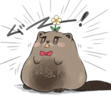 ぽんちゃん （最強）